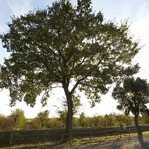 Lucerna Del Prile Bauernhof Castiglione della Pescaia